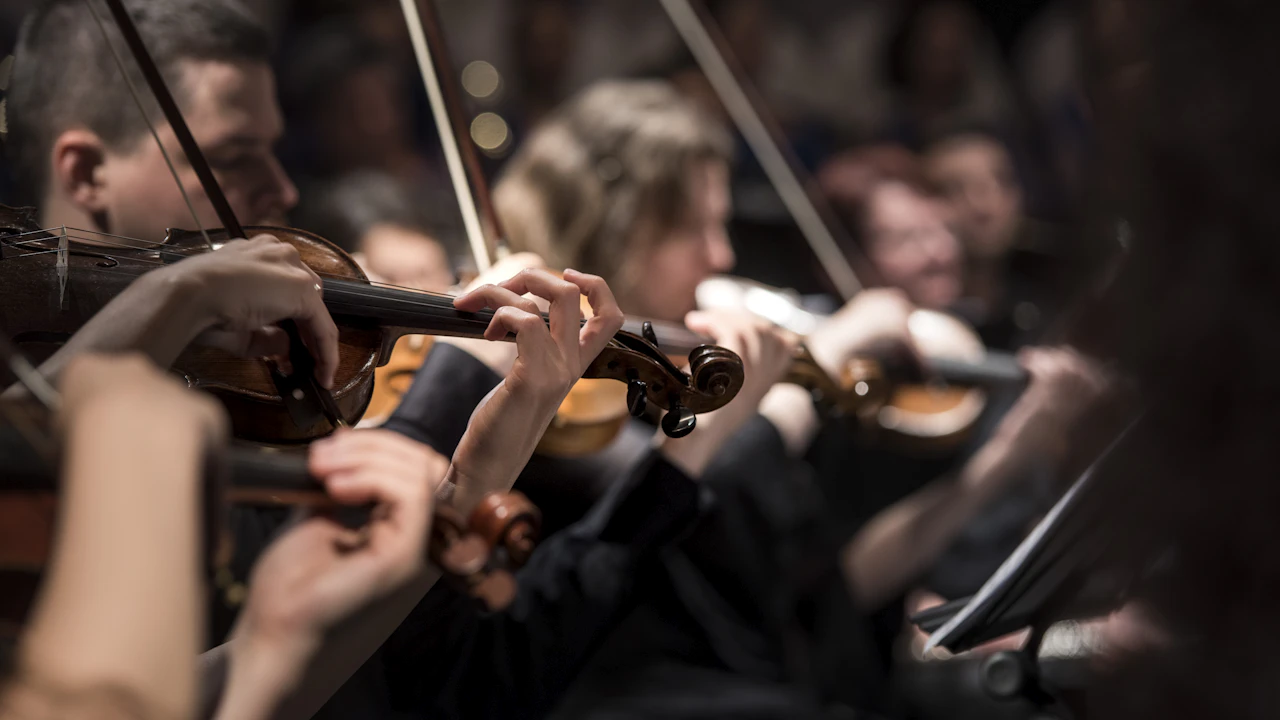 Performance musicale live et engagement pour l'utilité publique en Occitanie
